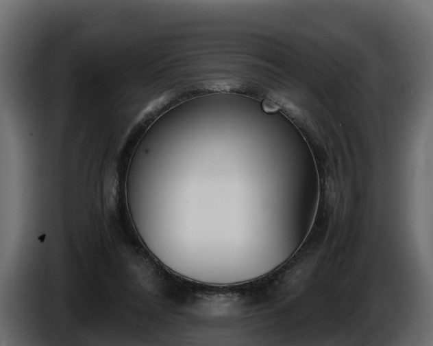 X0000085790304200703231314