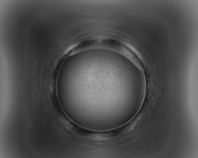 X0000085790305200703231314