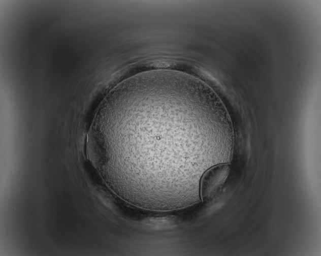 X0000085790307200703231314