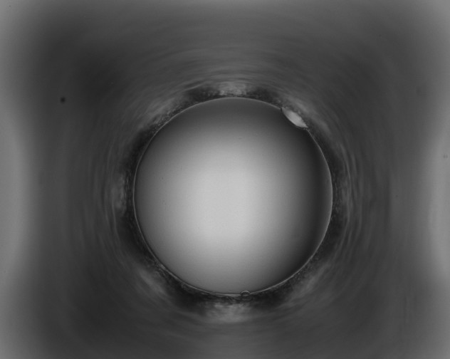 X0000085790311200703231313
