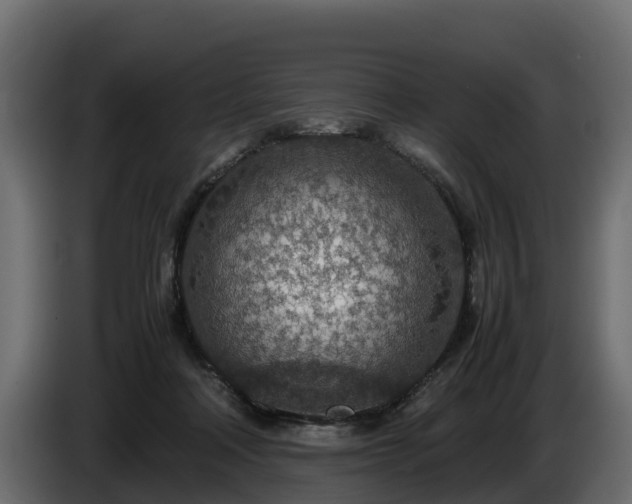 X0000085790314200703231313