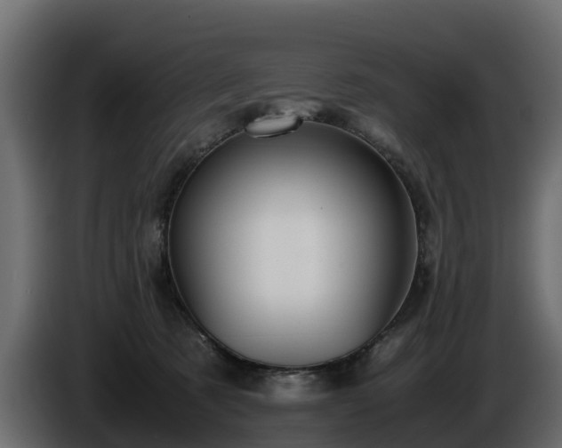 X0000085790321200703231313