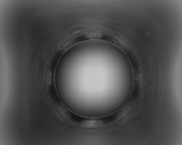 X0000085790323200703231313