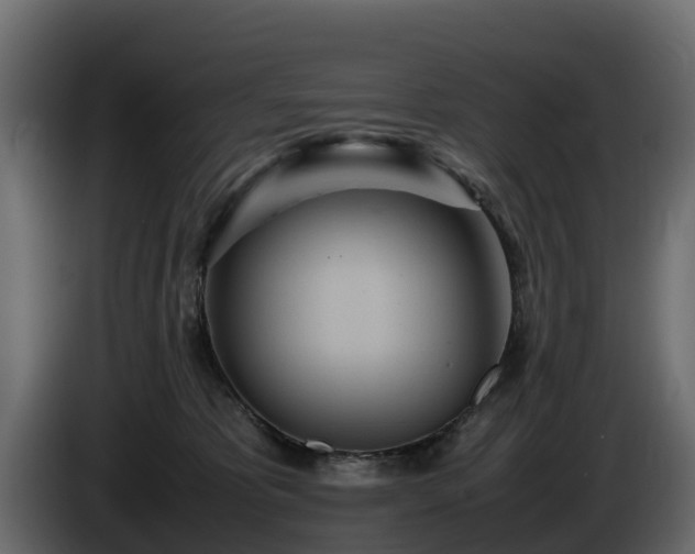 X0000085790325200703231313