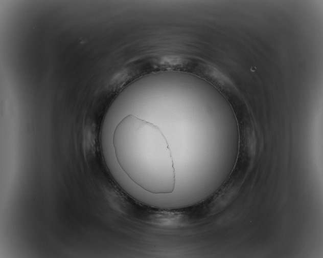 X0000085790328200703231313