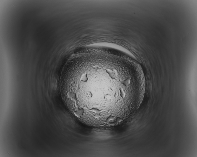 X0000085790331200703231313