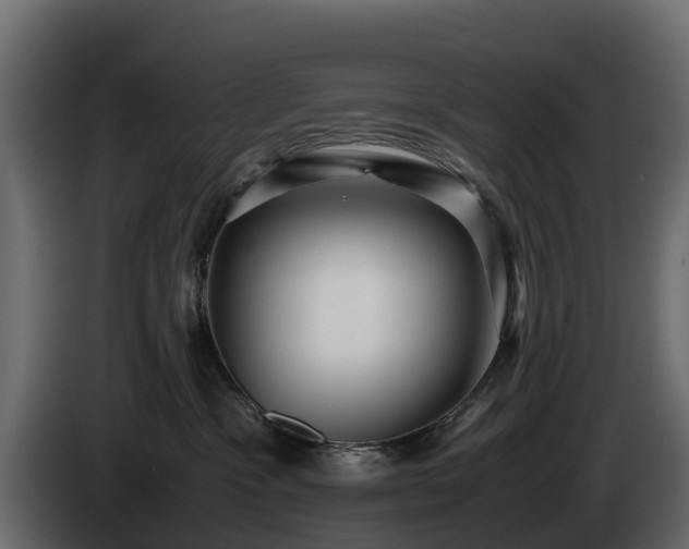 X0000085790333200703231313