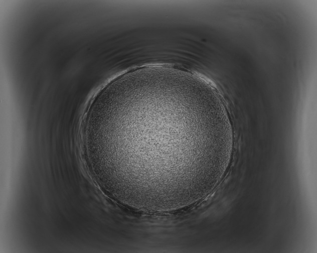 X0000085790337200703231312