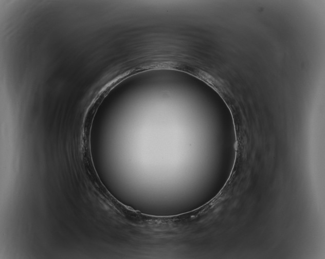 X0000085790338200703231312
