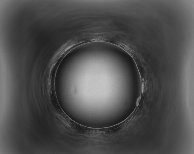 X0000085790339200703231312