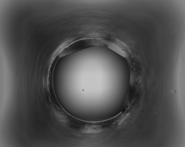 X0000085790340200703231312