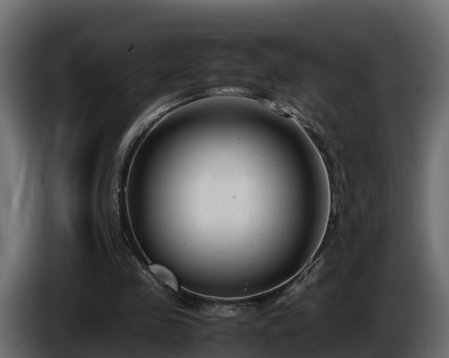 X0000085790341200703231313