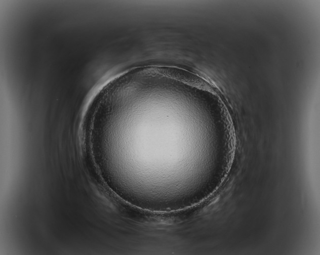 X0000085790343200703231313