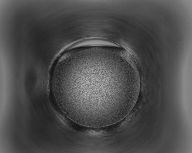 X0000085790346200703231313