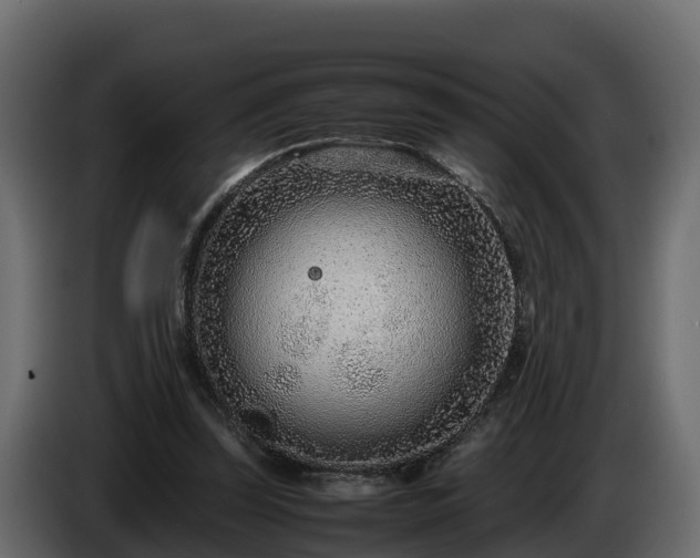 X0000085790347200703231313