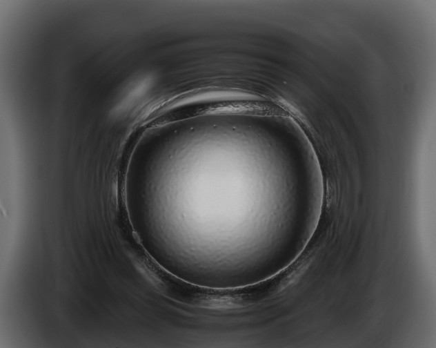 X0000085790349200703231313