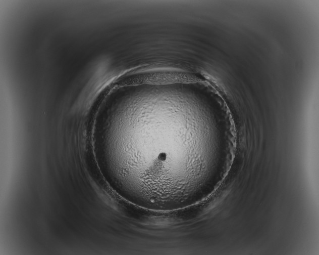 X0000085790351200703231313