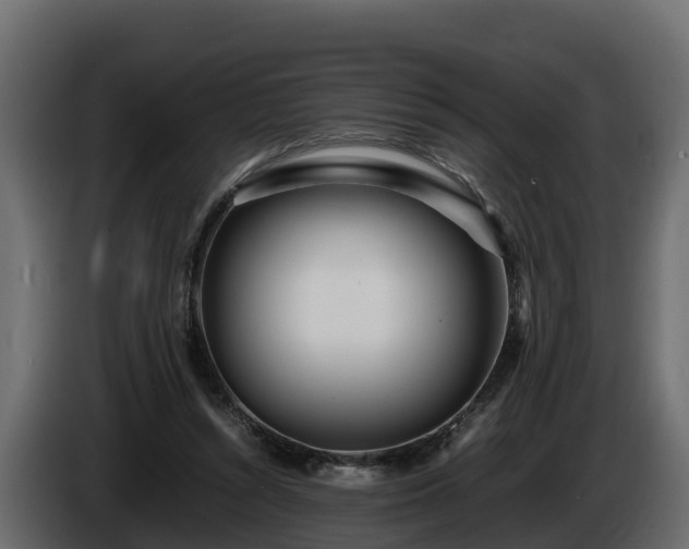 X0000085790352200703231313