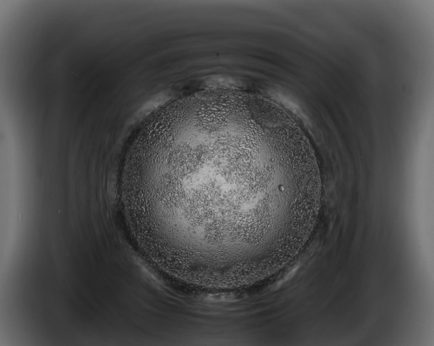 X0000085790353200703231313