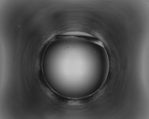 X0000085790354200703231313