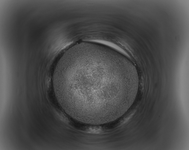 X0000085790355200703231313