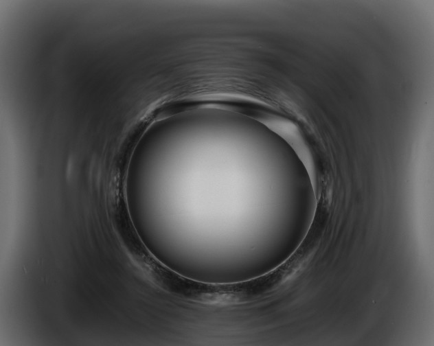 X0000085790356200703231313