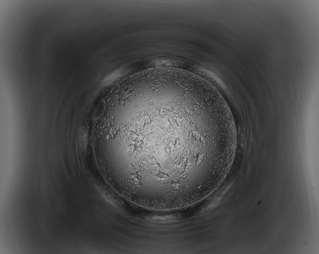 X0000085790357200703231313