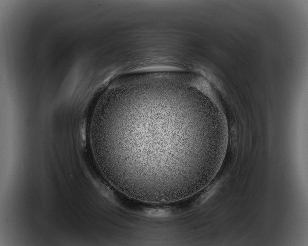 X0000085790358200703231313