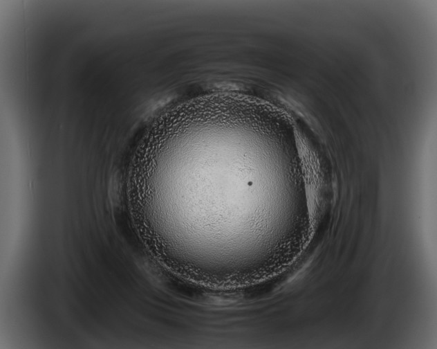 X0000085790359200703231313