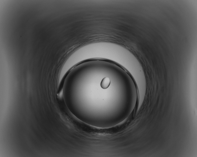 X0000085790360200703231313