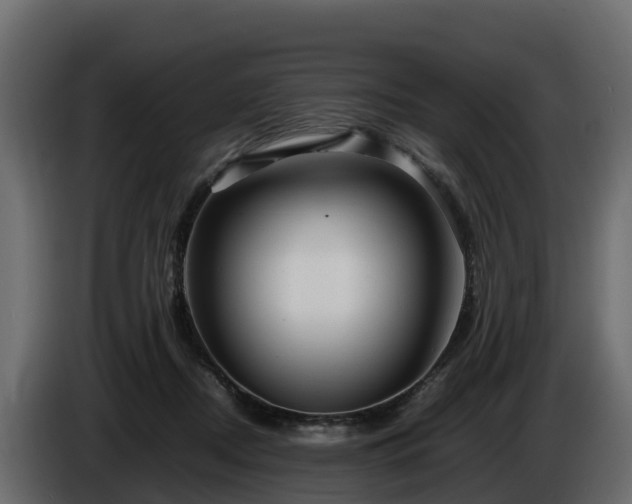 X0000085790362200703231313