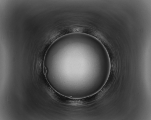 X0000085790363200703231313