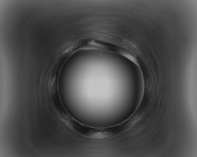 X0000085790364200703231313
