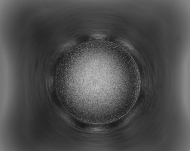 X0000085790365200703231313