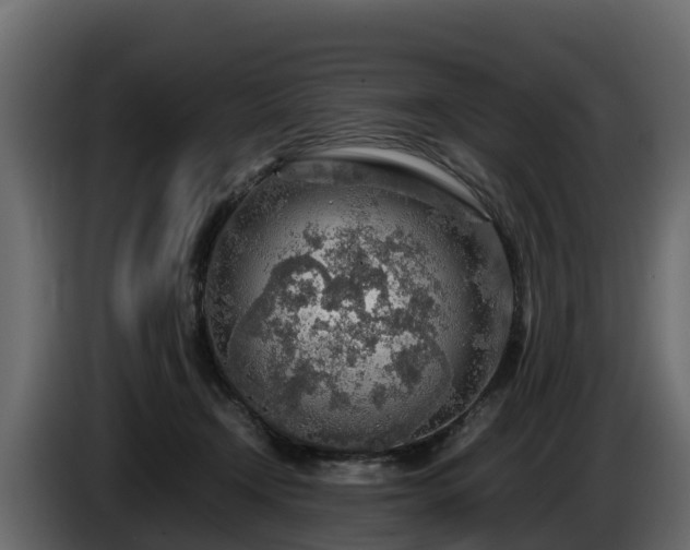 X0000085790366200703231313
