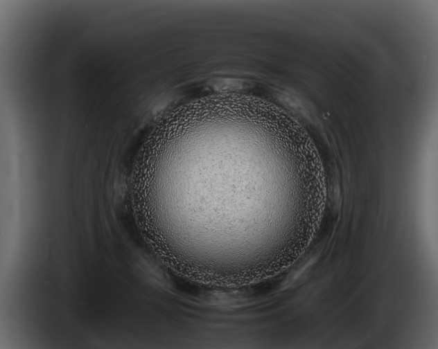 X0000085790367200703231313