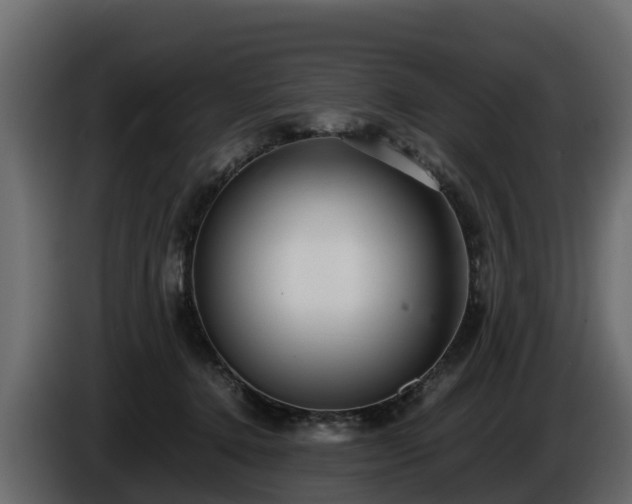 X0000085790368200703231313