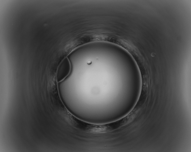 X0000085790369200703231313
