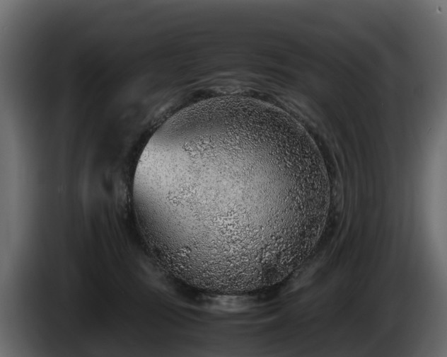 X0000085790371200703231313