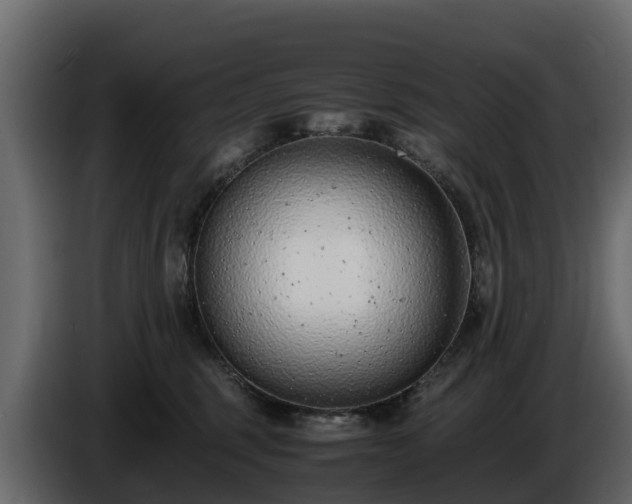 X0000085790375200703231313