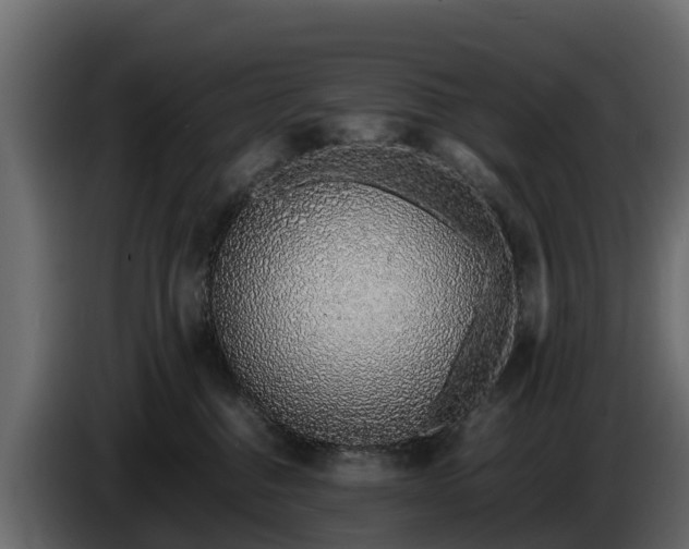 X0000085790376200703231313