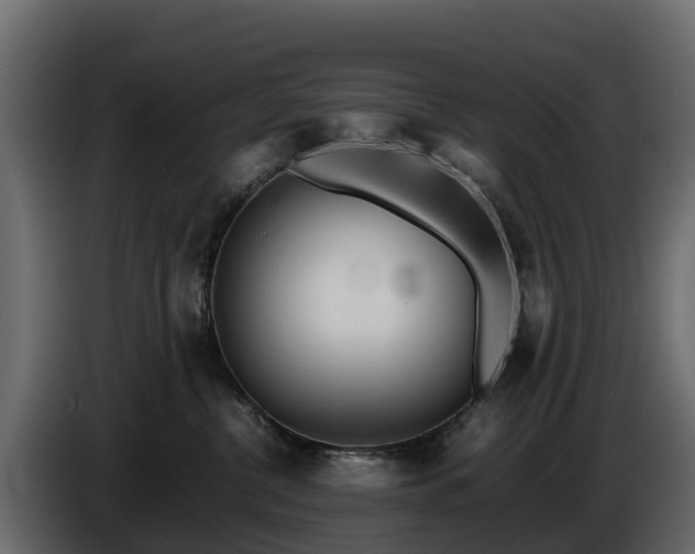 X0000085790380200703231313