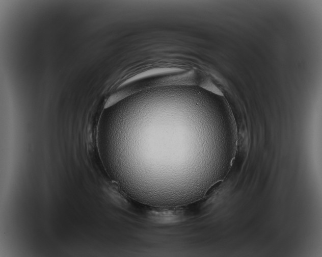 X0000085790381200703231313