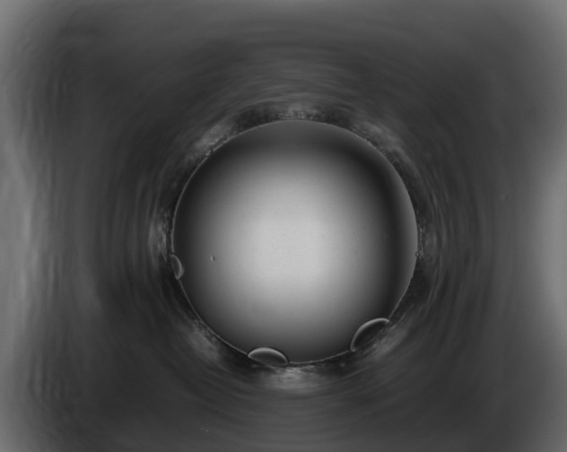 X0000085790382200703231313