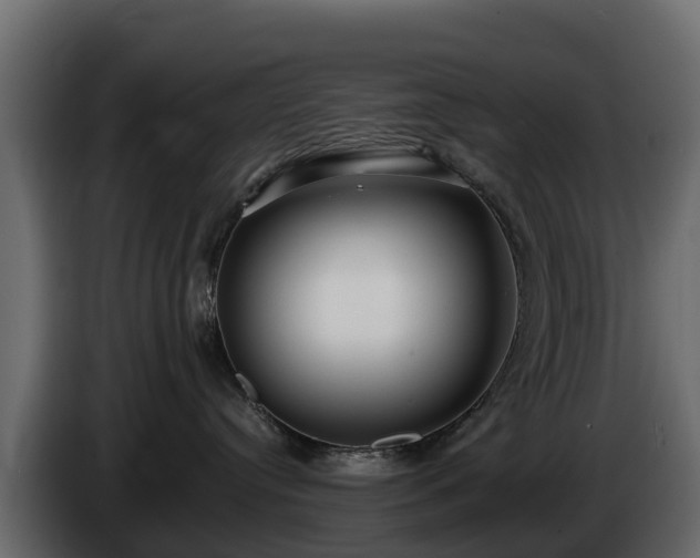X0000085790384200703231313
