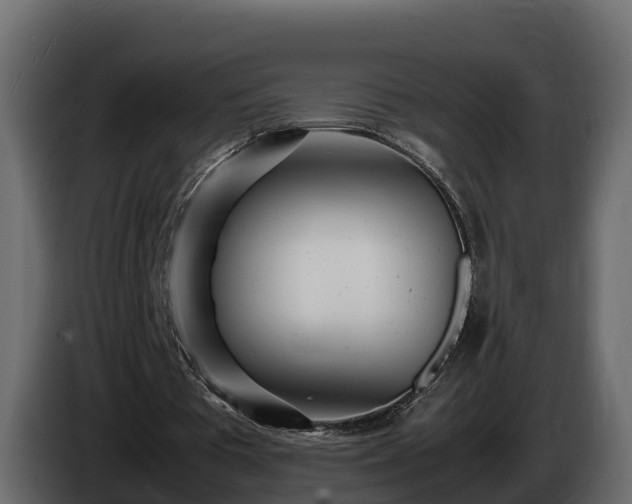 X0000085790385200703231312