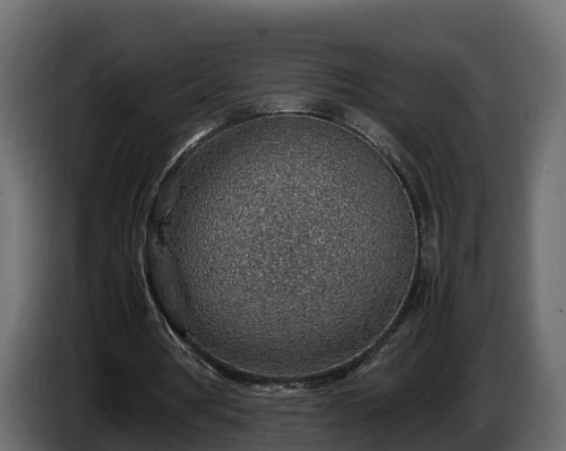 X0000085790386200703231312