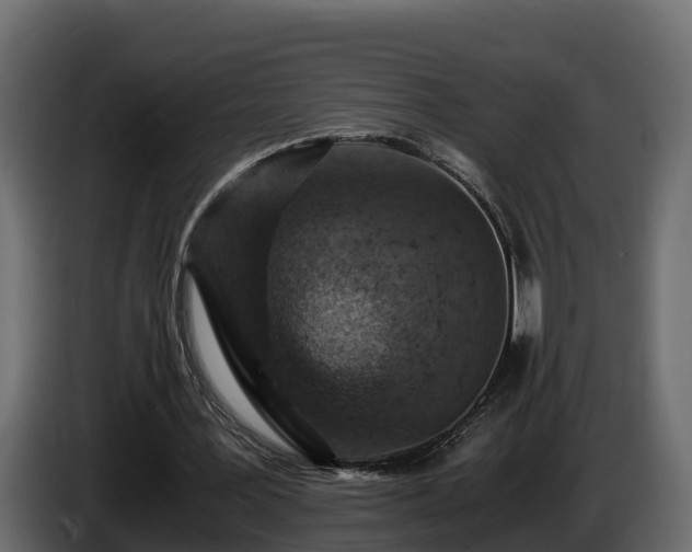 X0000085790387200703231312