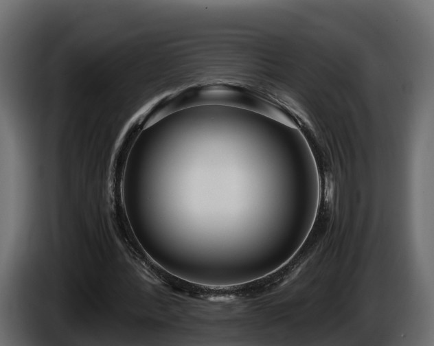 X0000085790388200703231312