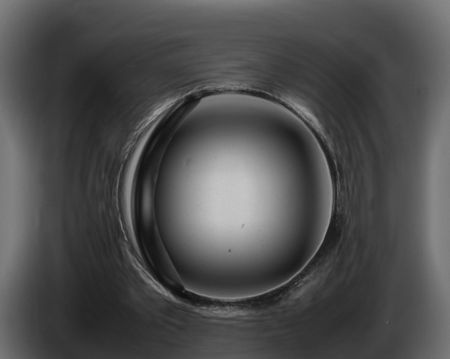 X0000085790389200703231312